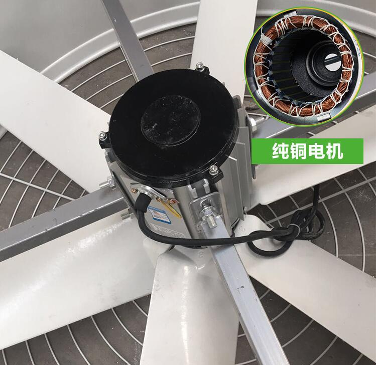 缩略图8